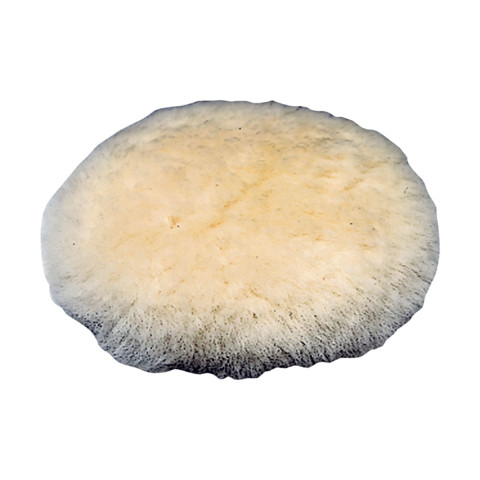 521704